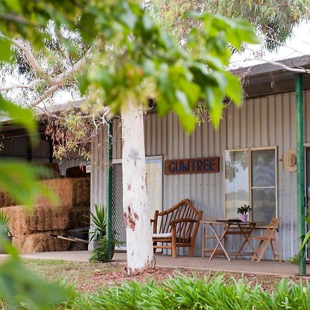 Peppertree Hill Villa Mudgee Buitenkant foto