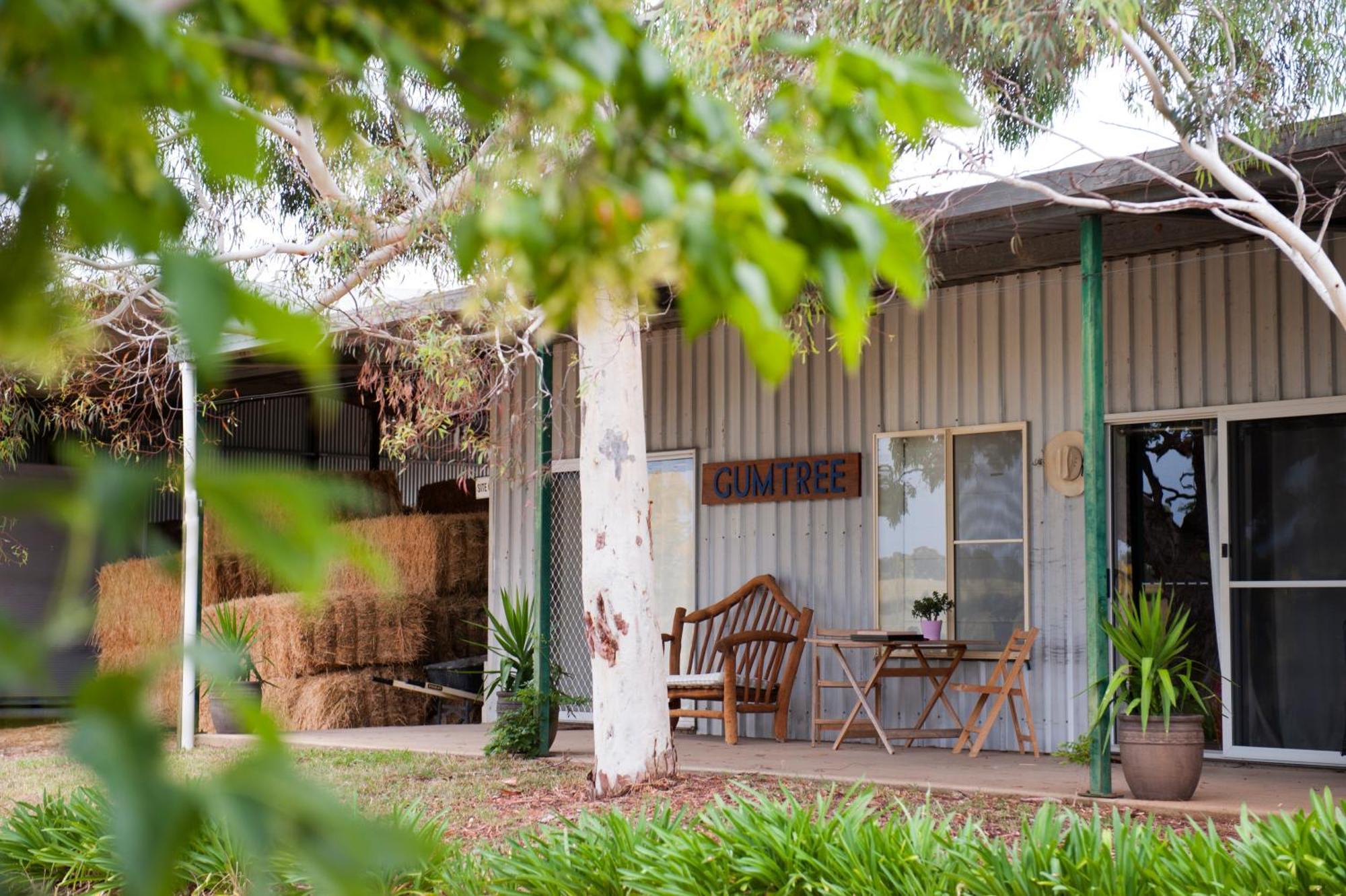 Peppertree Hill Villa Mudgee Buitenkant foto