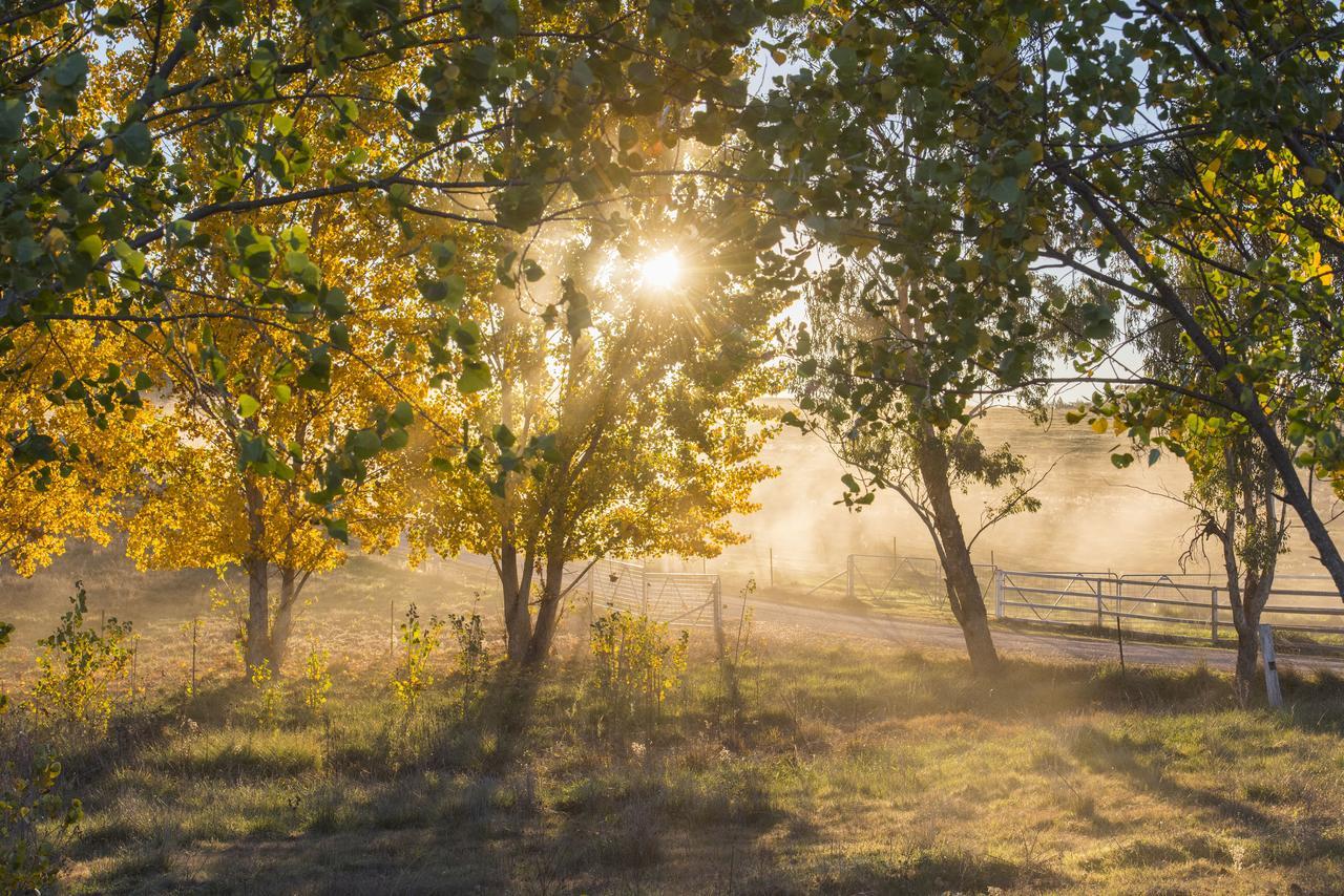 Peppertree Hill Villa Mudgee Buitenkant foto